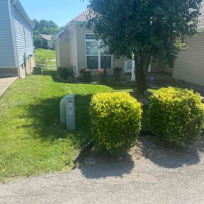 Bush Trimming by Martins Lawn and Landscape LLC reviewed on April 11, 2025