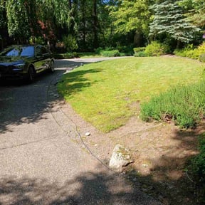 Weeding by Tex Star property services reviewed on June 16, 2022