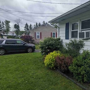 Bush Trimming by Fathers N Sons Lawn Care reviewed on March 29, 2022