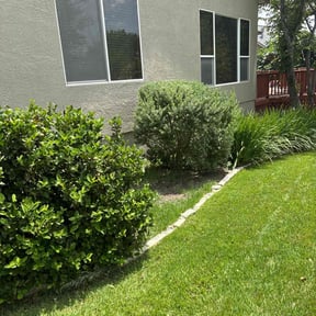 Bush Trimming by Elite Lawn care reviewed on August 23, 2021