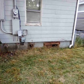 Bush Trimming by Thomas Scott Landscaping reviewed on June 23, 2022