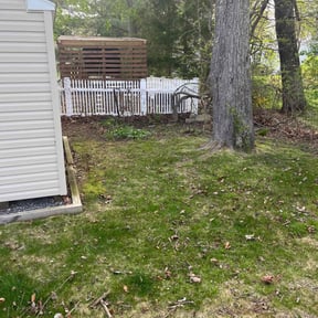 Leaf Removal by Smith's Services reviewed on July 17, 2022