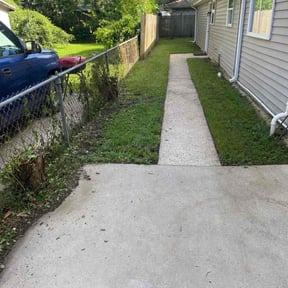 Bush Trimming by Quality lawn care reviewed on August 17, 2024