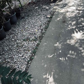 Flower Bed Weeding by LSLTDallas/FortWorthTruGreen reviewed on March 20, 2024