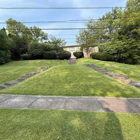 Cleanups by Polanco Abel Lawn Care reviewed on July 6, 2025