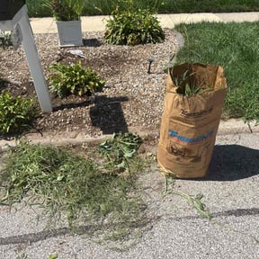 Weeding by Driveway Diagnostics reviewed on October 9, 2024