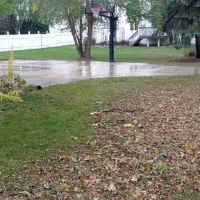 Cleanups by Ladybugs Lawn & Home reviewed on June 21, 2022