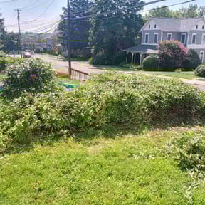 Bush Trimming by Thomas’s Lawn Care reviewed on June 23, 2022