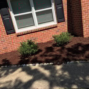 Mulching by Type A Lawn Guy reviewed on July 8, 2025