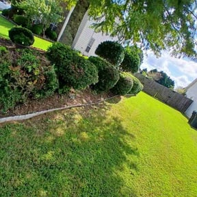 Bush Trimming by Mow Pro reviewed on August 6, 2025