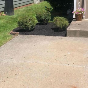 Bush Trimming by Belleaire Lawn Care reviewed on May 26, 2022