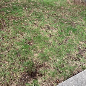 Cleanups by P-jamS Property Solutions reviewed on December 1, 2022