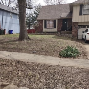Leaf Removal by Top Turf L.L.C reviewed on June 18, 2022