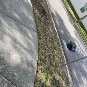 Leaf Removal by GET Tax Service reviewed on March 7, 2022
