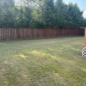 Cleanups by Grass Experts reviewed on May 12, 2022