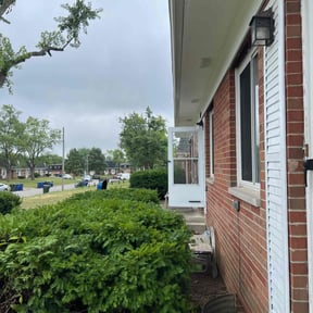 Bush Trimming by Twins lawn care reviewed on June 30, 2025