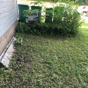 Bush Trimming by Lulu lawn care reviewed on June 30, 2022
