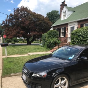 Bush Trimming by Wilson Leon Landscaping reviewed on June 20, 2025