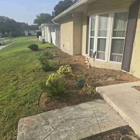Flower Bed Weeding by LSLTDallas/FortWorthTruGreen reviewed on February 10, 2025