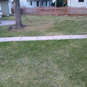 Leaf Removal by Schine's Lawn Care reviewed on May 27, 2022