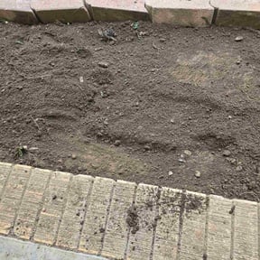 Bush Trimming by Diversified Lawn Care LLC reviewed on September 19, 2020