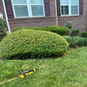 Bush Trimming by Nashville Garden Scapes reviewed on July 11, 2022