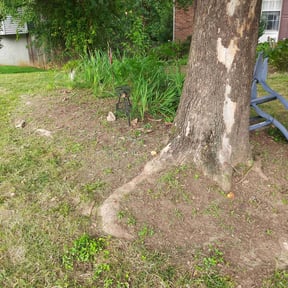 Flower Bed Weeding by AP Landscapers reviewed on October 24, 2024