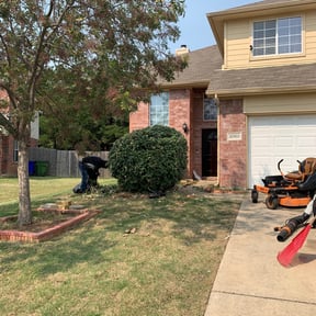Bush Trimming by LD Brown Landscaping And Pressure Washing reviewed on April 27, 2022