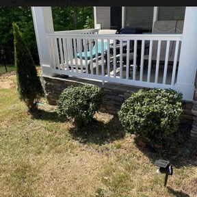 Bush Trimming by Dee Tree/Lawn Service reviewed on May 7, 2025