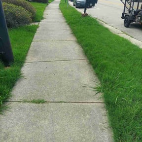 Landscaping by Our Vision Media LLC reviewed on June 14, 2025