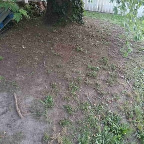 Cleanups by Breece Services reviewed on April 27, 2025