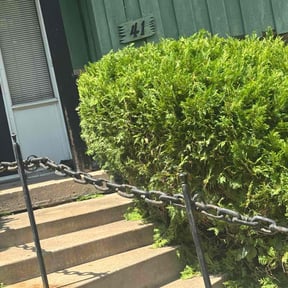 Bush Trimming by LSLTDallas/FortWorthTruGreen reviewed on May 21, 2023