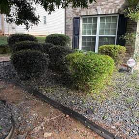 Bush Trimming by On Time landscaping reviewed on December 21, 2024