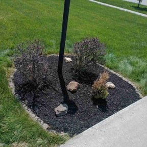 Mulching by Demetrieus Bennett reviewed on June 22, 2022