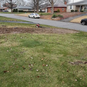 Cleanups by McIntire Services reviewed on April 28, 2022