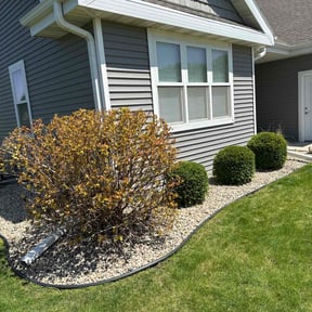 Bush Trimming by Norman Boys Lawn Care reviewed on September 1, 2021