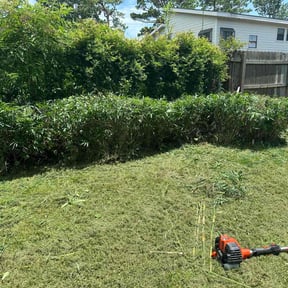 Bush Trimming by Chavez Landscaping reviewed on December 2, 2024