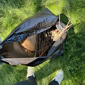 Leaf Removal by VonBerge Family Lawncare reviewed on November 15, 2024