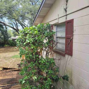 Cleanups by RTH Lawn Service &amp; Landscaping LLC reviewed on July 1, 2025