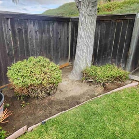 Bush Trimming by Sustain Tec, LLC reviewed on April 6, 2020
