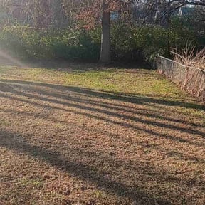 Leaf Removal by TruGreen LawnCare reviewed on October 14, 2024