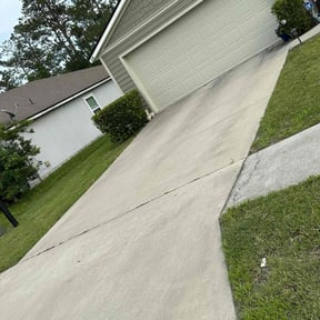 Bush Trimming by LSLTDallas/FortWorthTruGreen reviewed on April 18, 2025