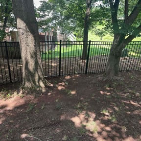 Leaf Removal by D.P.S (Dave Property Services) reviewed on December 14, 2024