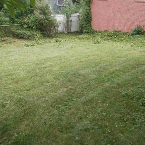 Bush Trimming by Sosa's Lawn Care &amp; Design LLC reviewed on May 19, 2025