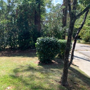 Bush Trimming by Round the world lawn care reviewed on December 8, 2024