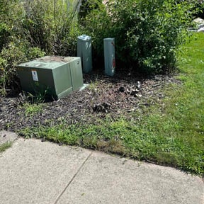 Flower Bed Weeding by The Branch Gardens and Lawncare Co. reviewed on June 17, 2022