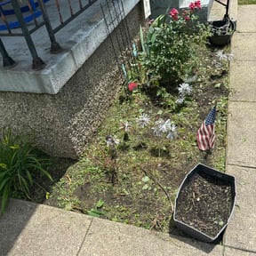 Flower Bed Weeding by D&D lawncare and maintenance reviewed on June 17, 2022