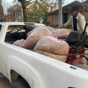 Leaf Removal by JG Lawn Care reviewed on March 21, 2025