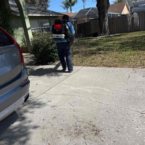 Bush Trimming by MelMar Lawn Care reviewed on January 4, 2022