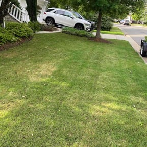 Landscaping by Poetry In Motion, LLC reviewed on November 12, 2021